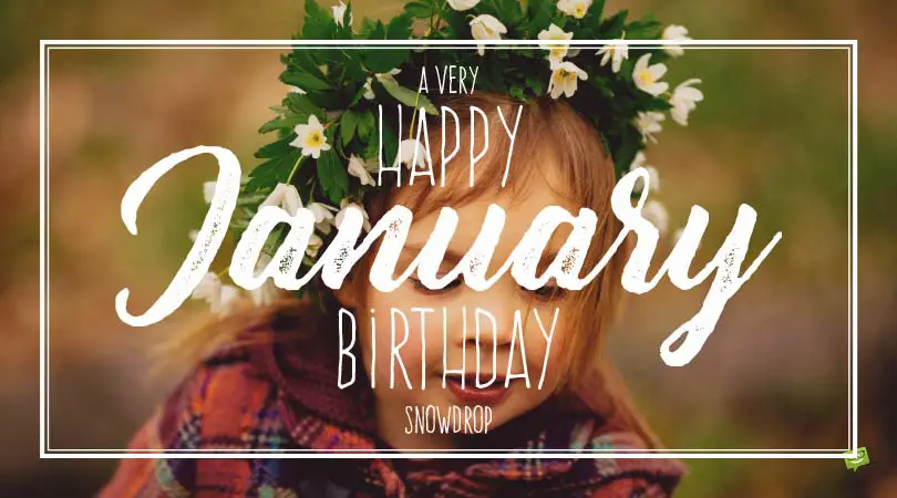 Birthday Flowers | The Right Flower According to their Birthday Month Birthday Flowers | The Right Flower According to their Birthday Month