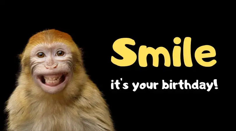 Smile, it's your birthday! Funny happy birthday image of smiling monkey..