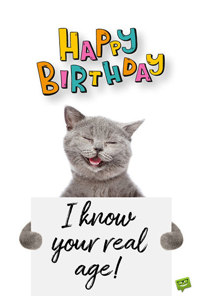 Funny happy birthday image with laughing cat. | Birthday Wishes Expert Happy Birthday. I know your real age.