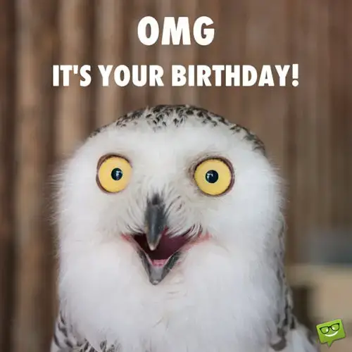 OMG. It's your birthday!