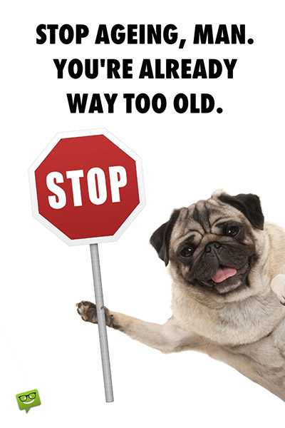 Funny happy birthday image with pug. | Birthday Wishes Expert Stop ageing, man. You're already way too old.