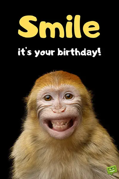Funny happy birthday image with smiling monkey. | Birthday Wishes Expert Smile, it's your birthday!