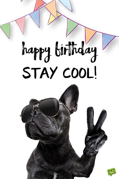 Funny happy birthday image. | Birthday Wishes Expert Happy Birthday. Stay cool.