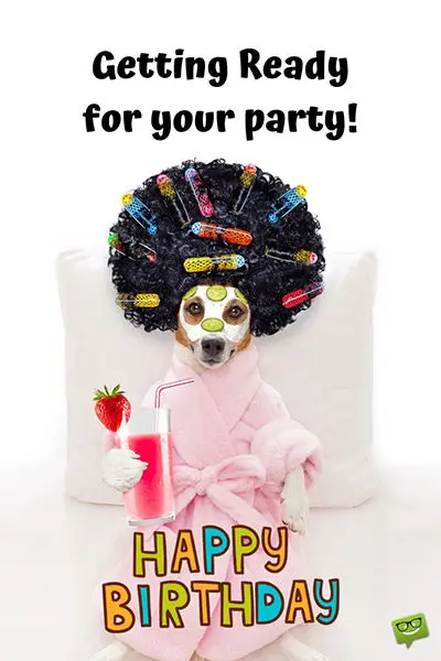 Funny happy birthday image. | Birthday Wishes Expert Getting ready for your birthday party! Happy Birthday.