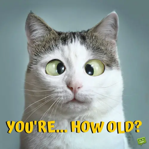 The year you start lying about your age has finally arrived. Happy Birthday. | Birthday Wishes Expert Funny birthday image with cat. You can share it with friends a family on their birthday.