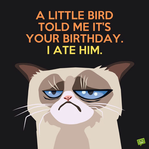 Featured image of post Happy Birthday Images Funny Free / It's really important to send someone nowadays, there are a lot of birthday gifs that you could easily find on the internet.