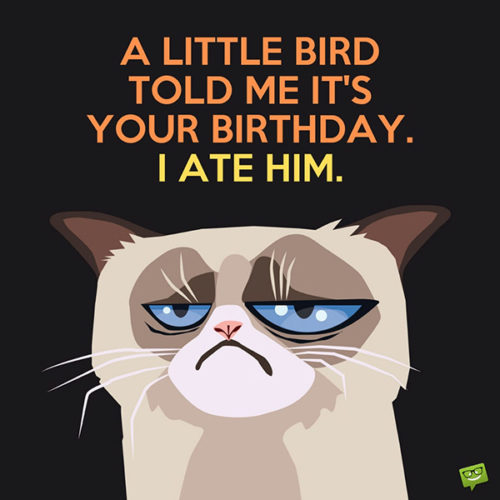 Featured image of post Happy Birthday Images Funny Free / It&#039;s really important to send someone nowadays, there are a lot of birthday gifs that you could easily find on the internet.