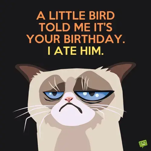 A little bird told me it's your birthday. I ate him.