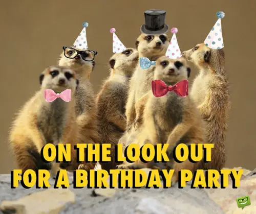 Funny happy birthday image. | Birthday Wishes Expert On the look out for a birthday party.