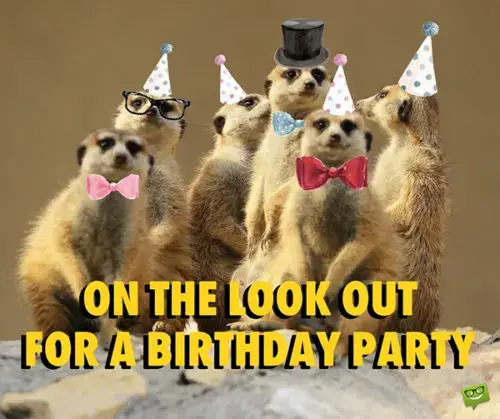 On the look out for a birthday party.