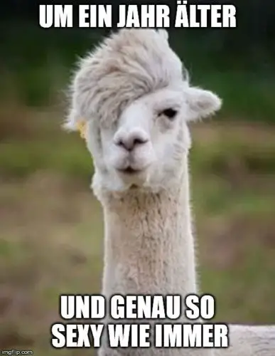 Um ein Jahr älter und genauso sexy wie immer