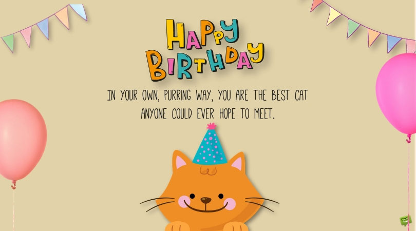 Happy Birthday Kitty Purry Wishes For And With Cats