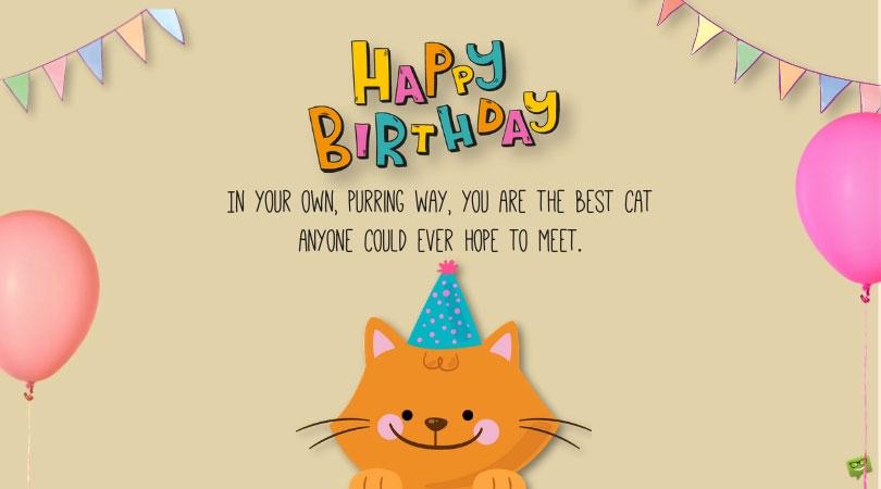 Purry Happy Birthday! | 95 Cute Wishes for (or about) a Cat