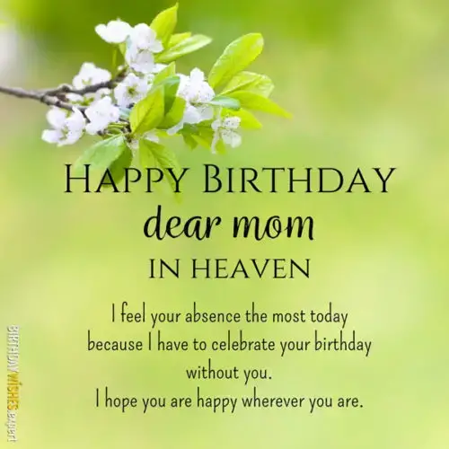 Happy Birthday, dear mom, in heaven. I feel your absence the most today because I have to celebrate your birthday without you. I hope you are happy wherever you are.