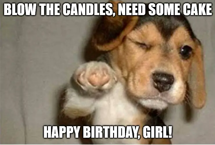 Funny dog pointing meme for a birthday girl. | Birthday Wishes Expert Funny dog pointing meme for a birthday girl.