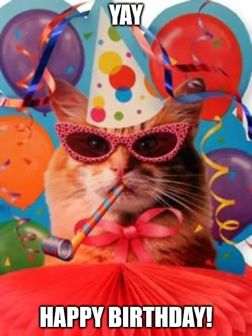 Funny Happy Birthday meme on image of cat in birthday party hat and glasses blowing a whistle.