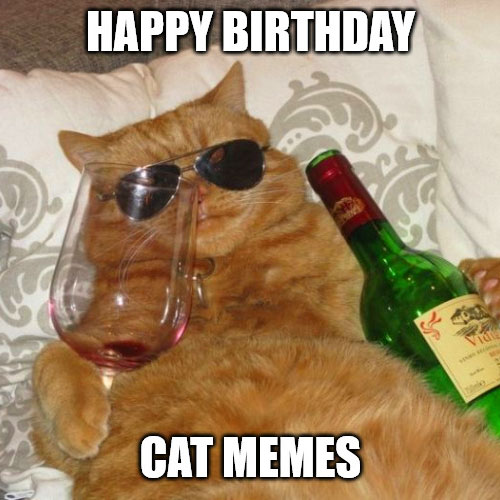 Happy Birthday Cat meme.