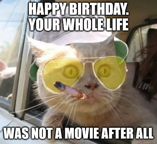 Fear And Loathing Cat Meme. | Birthday Wishes Expert Fear And Loathing Cat Meme.
