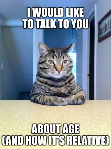 Take A Seat Cat Birthday Meme.