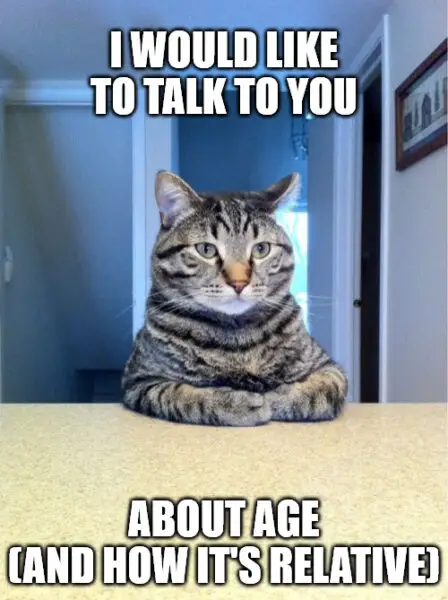 Take A Seat Cat Birthday Meme. | Birthday Wishes Expert Take A Seat Cat Birthday Meme.