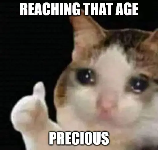 Sad thumbs up cat Birthday Meme.