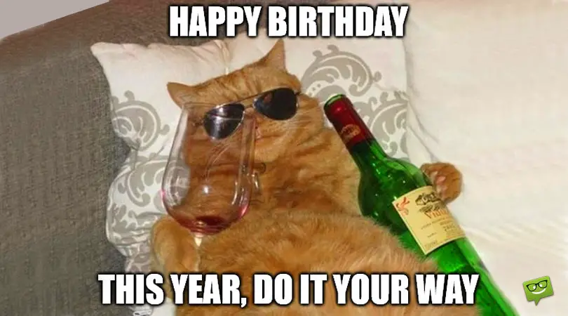 happy birthday cute cat meme