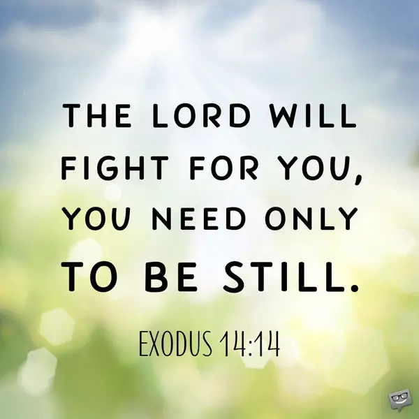 The Lord will fight for you, you need only to be still. Exodus 14:14