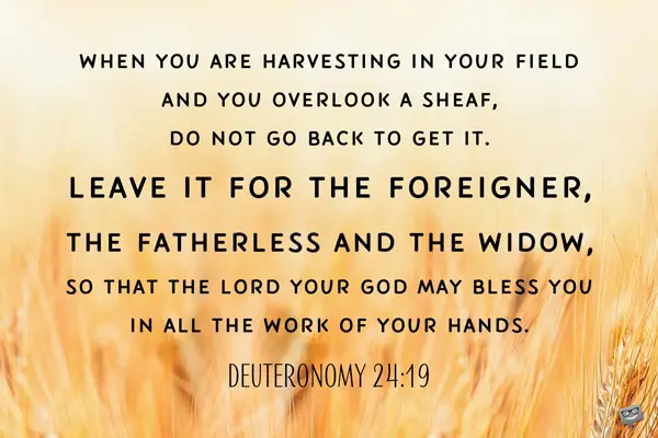 When you are harvesting in your field and you overlook a sheaf, do not go back to get it. Leave it for the foreigner, the fatherless and the widow, so that the Lord you God may bless you in all the work of your hands. Deuteronomy 24:19