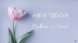 60 Creative Ideas for Wishing Your Mom-in-Law a…