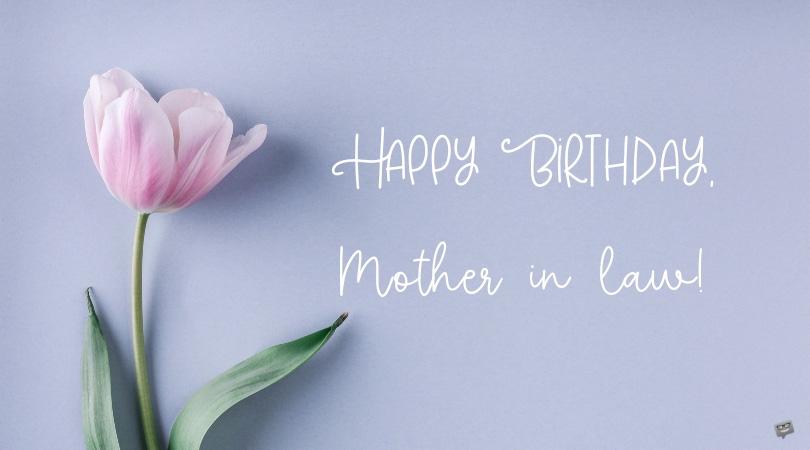The Mother We Deserve! | Happy Birthday, Mother-in-law