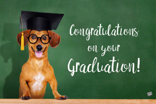 Funny happy graduation image with dog. Congratulations on your graduation.