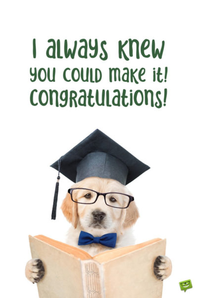 Cute high school graduation wish on photo of funny dog. Cute high school graduation wish.