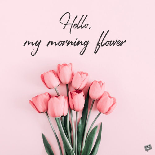 Good morning message for her on photo with pink tulips. | Birthday Wishes Expert Hello, my morning flower.