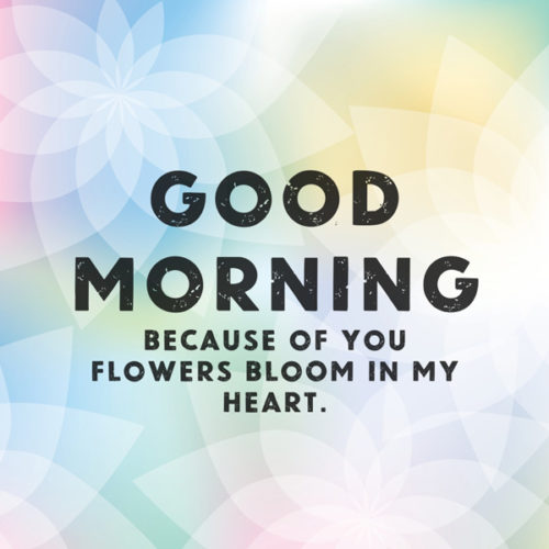 Good morning my love. | Birthday Wishes Expert Good morning. Because of you, flowers bloom in my heart.