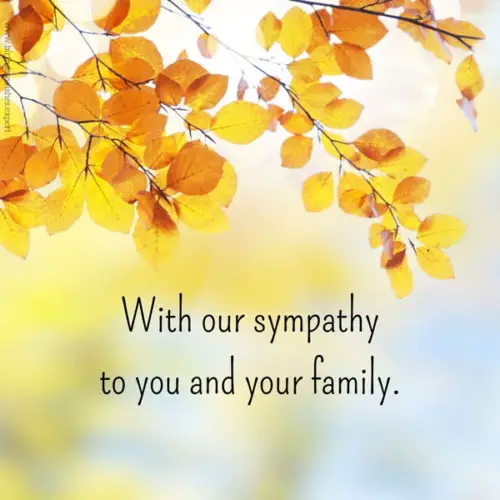 Sympathy message for loss.