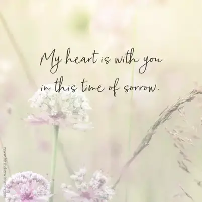 Sympathy Saying For Loss Of Mother Sympathy Messages For The Loss Of A Mother | I'm Sorry She's Gone