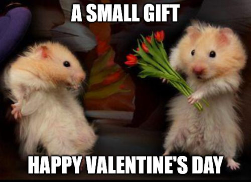 33 Happy Valentines Day Memes For The Love Of A Laugh 