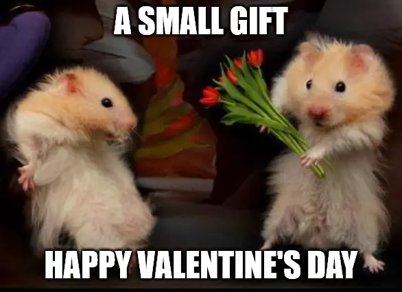 A small gift My Valentine meme