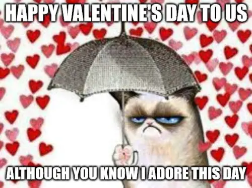 Happy Valentine's Day to us, although you know i adore this day - Grumpy cat Valentine rain meme