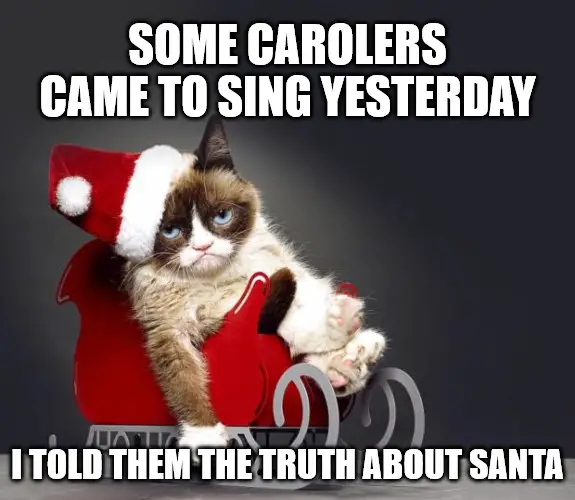 I told the carolers the truth about Santa - Grumpy Christmas Cat meme