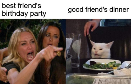 Woman yelling at cat birthday meme. | Birthday Wishes Expert Woman yelling at cat birthday meme.