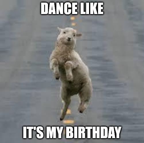 Dance like it | Birthday Wishes Expert's my birthday Dancing sheep meme Dance like it's my birthday Dancing sheep meme