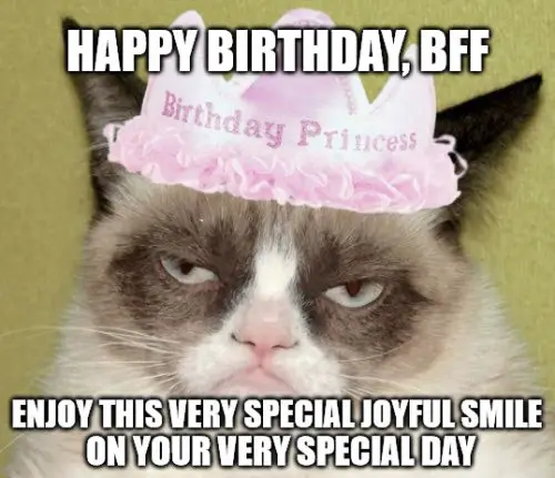 Happy Birthday BFF - Grumpy cat meme.