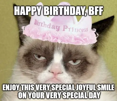 Happy Birthday BFF - Grumpy cat meme. | Birthday Wishes Expert Happy Birthday BFF - Grumpy cat meme.