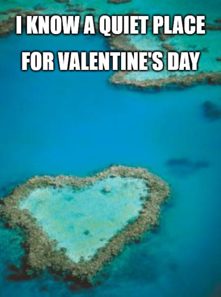 Eel Valentines Day meme