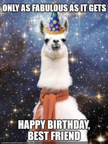 Happy Birthday Best Friend Alpaca meme.