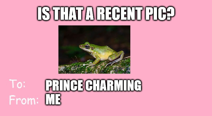 Prince charming Valentine's Day frog meme.