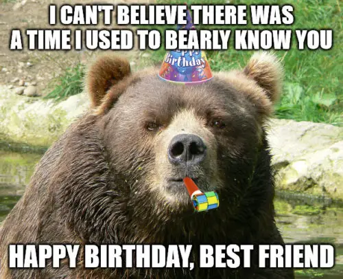 Happy Birthday Best friend Bear meme