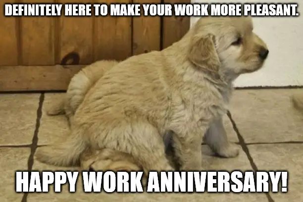 Featured image of post Happy 2 Year Work Anniversary Meme Funny