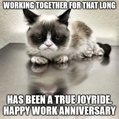 Grumpy Cat Office Anniversary meme.